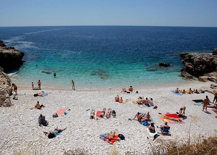 Zimmer F2 Πούλα