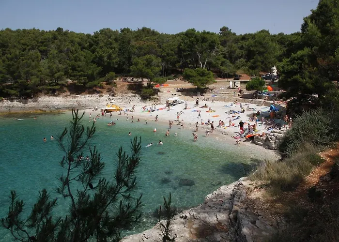 Διαμέρισμα Zimmer F2