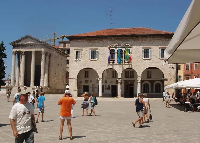 Zimmer F2 Πούλα